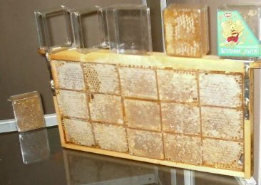Рамки и коробки для сотового меда фирмы 'Зет 1'