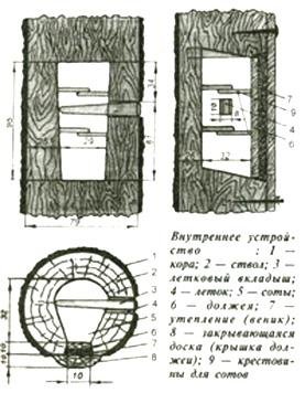 Рисунок борти