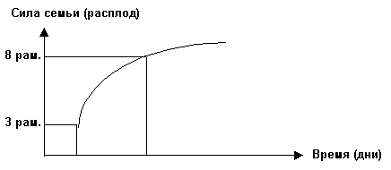 График развития пчелиной семьи