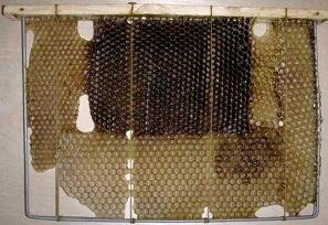 Рамка - корзина с небольшими кусками сотов закрепленных пчелами
